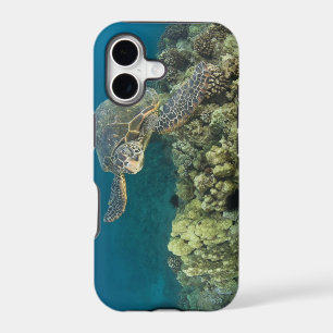 The Green Sea Turtle, (Chelonia mydas), is the 2 iPhone 17 Case