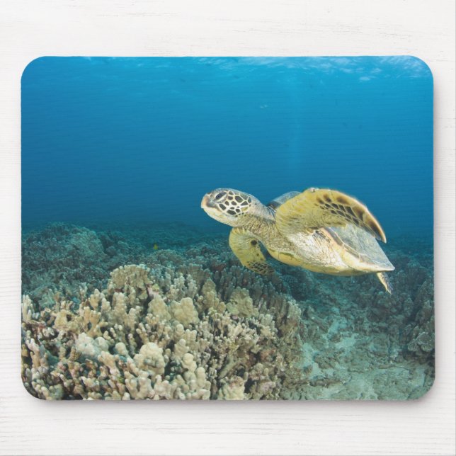 The Green Sea Turtle, (Chelonia mydas), is the 3 Mouse Pad (Front)