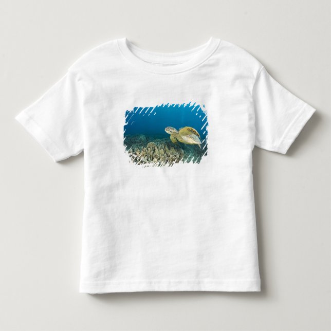 The Green Sea Turtle, (Chelonia mydas), is the 3 Toddler T-shirt (Front)