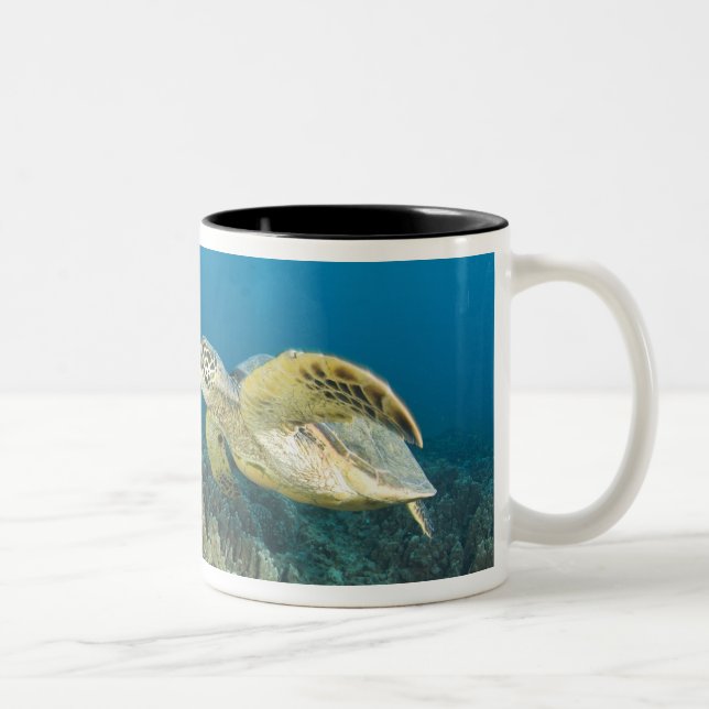 The Green Sea Turtle, (Chelonia mydas), is the 3 Two-Tone Coffee Mug (Right)