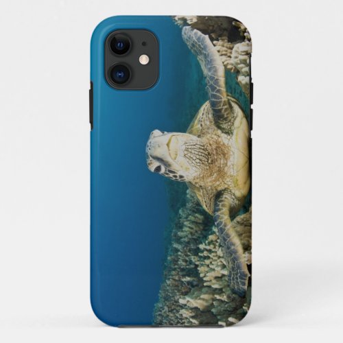 The Green Sea Turtle Chelonia mydas is the iPhone 11 Case