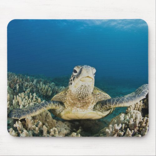 The Green Sea Turtle Chelonia mydas is the Mouse Pad