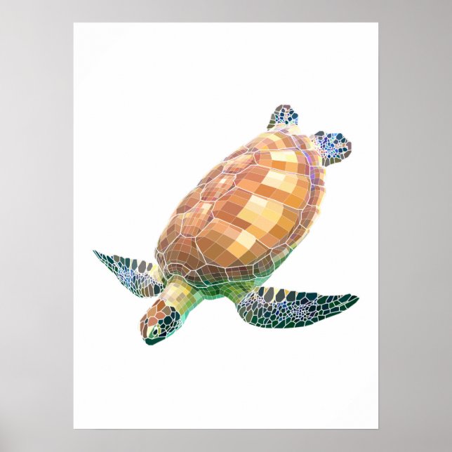 The Green Sea Turtle (Colored) Poster (Front)