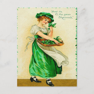 The Green Shamrock Vintage St. Patrick's Day Postcard
