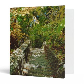 The Green Stairway 3 Ring Binders