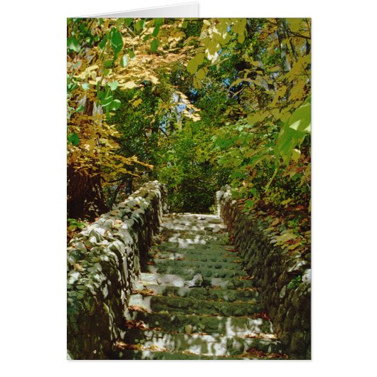 The Green Stairway Cards (Front)