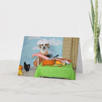 The Greeting Card /thanksgiving? Humorous Dog Phot by PlaxtonDesigns at Zazzle