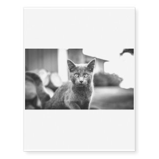 The grey Cat Temporary Tattoos