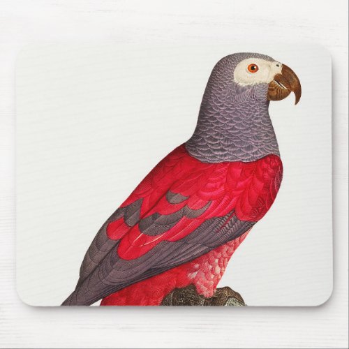 The Grey Red Parrot Psittacus erithacus Mouse Pad