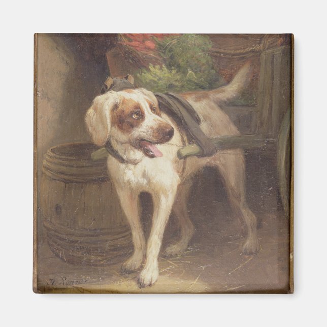 The Grocer's Dog (oil on panel) Magnet (Front)