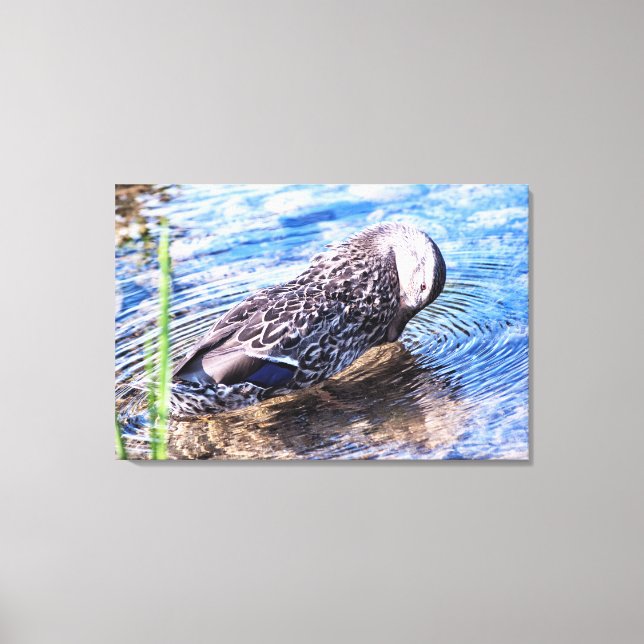 The Grooming Effect Canvas Print (Front)