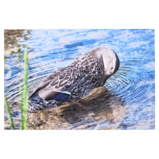 The Grooming Effect Metal Print