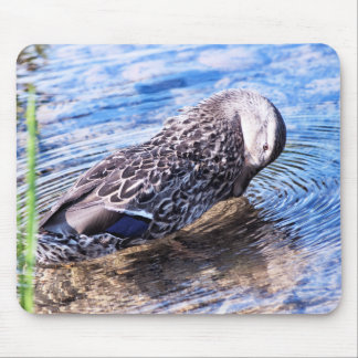 The Grooming Effect Mouse Pad