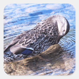 The Grooming Effect Square Sticker