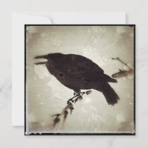 The Grunge Crow
