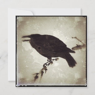 The Grunge Crow