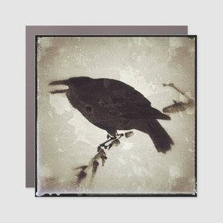 The Grunge Crow Car Magnet