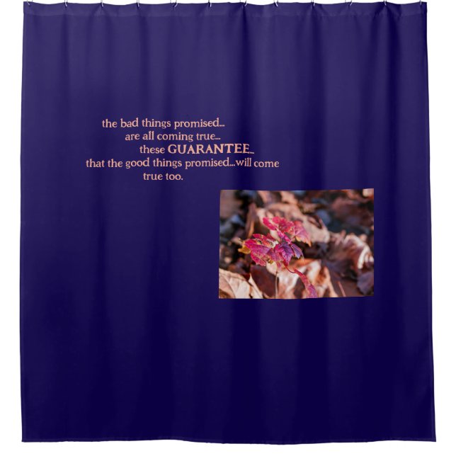 The Guarantee-Shower Curtain (Front)