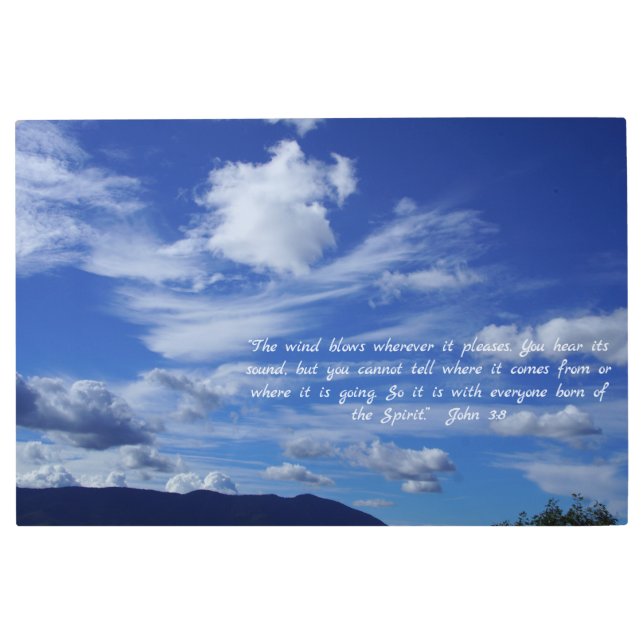 The Guardian Angel Metal Print (Front)