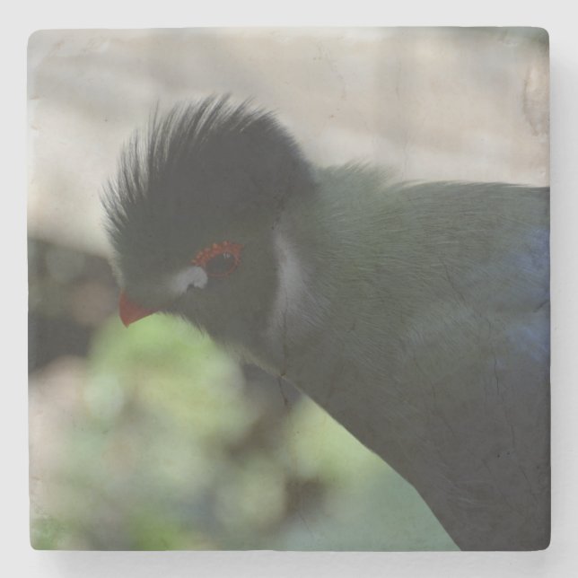 THE GUINEA TURACO MARBLE COASTER (Front)