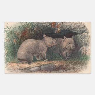 The Hairy-Nosed Wombat by Joseph Wolf Rectangular Sticker