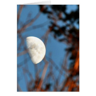 The Half Moon through Barren Branches Cards