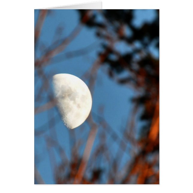 The Half Moon through Barren Branches Cards (Front)