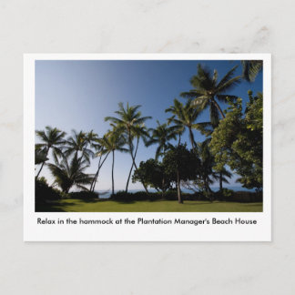 The hammock at the Plantation Manager's House Postcard