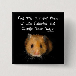 The Hamster Button