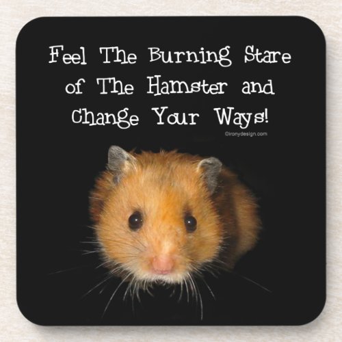 The Hamster Coaster