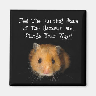 The Hamster Magnet