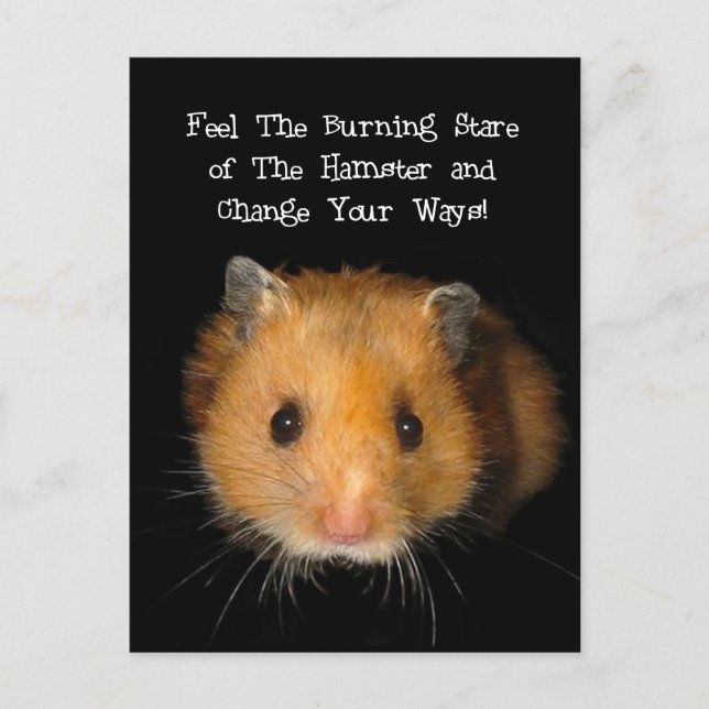 The Hamster Postcard (Front)