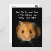 The Hamster Postcard (Front/Back)