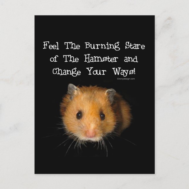 The Hamster Postcard (Front)