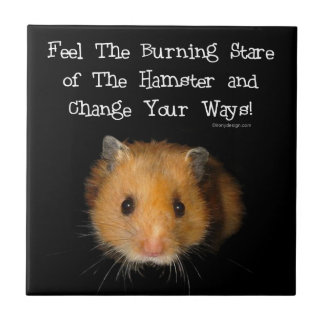 The Hamster Stare Ceramic Tile