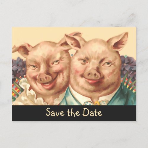 The Handsome Pig Couple Save the Date Announcement Postcard
