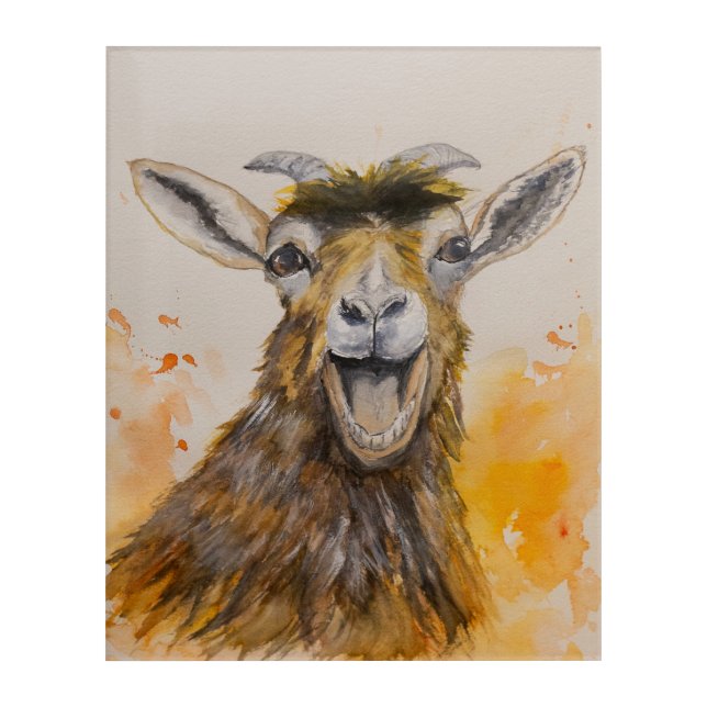 The Happy Goat Acrylic Print (Front)