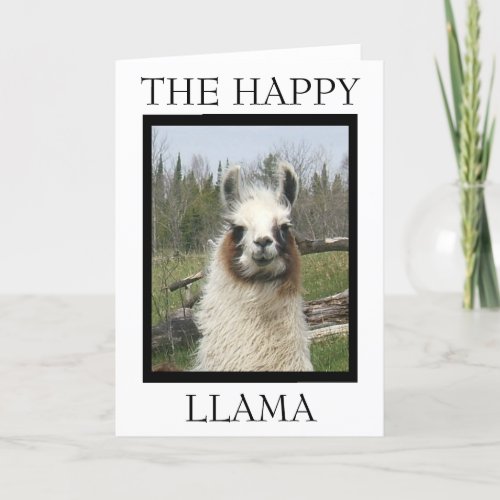 THE HAPPY LLAMA Greeting Card