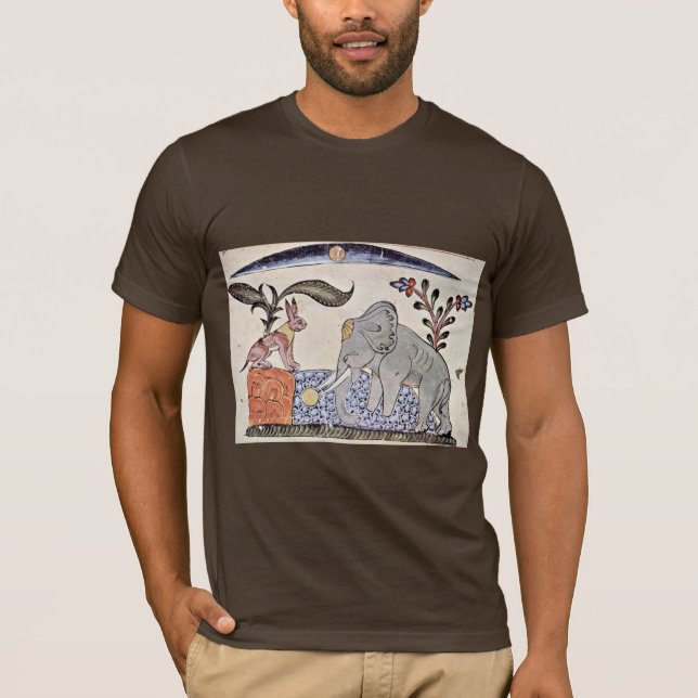 The Hare And The Elephant King In Front Of The Mir T-Shirt (Front)