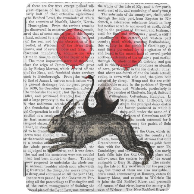 The Hare Ship iPad Air Cover (Front)