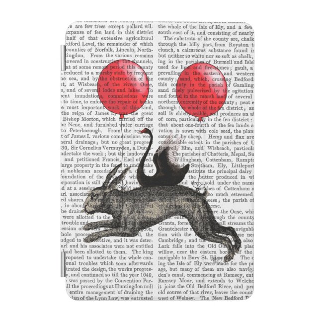 The Hare Ship iPad Mini Cover (Front)