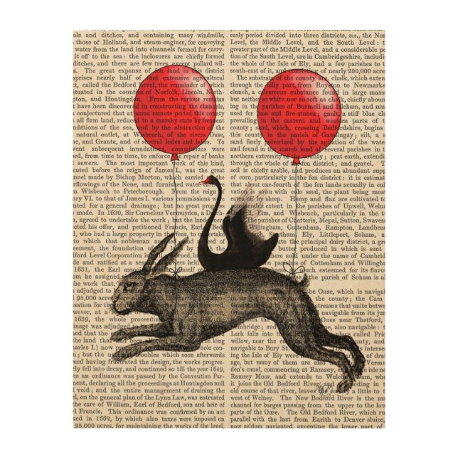 The Hare Ship Wood Wall Decor (Front)