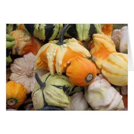 The Harvest Cards (Front Horizontal)
