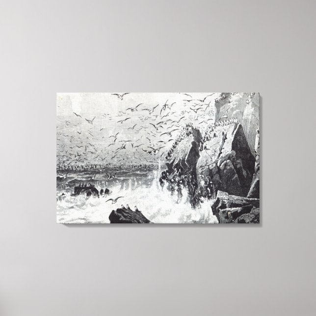 The Haunt of the Gulls Canvas Print (Front)