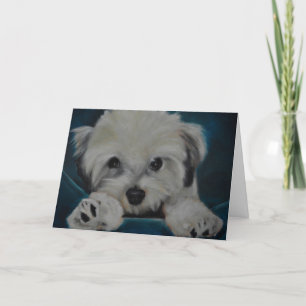 The Havanese Card