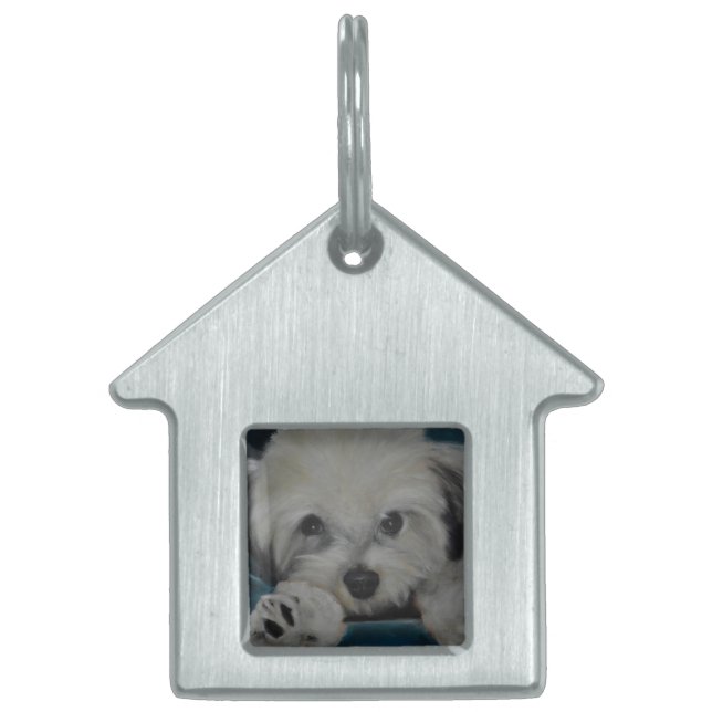 The Havanese Pet Name Tag (Front)