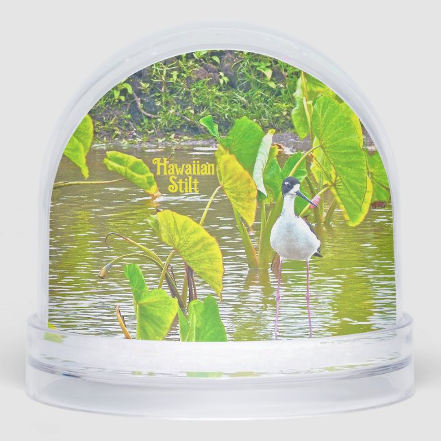 The Hawaiian Stilt Bird Snow Globe (Front)