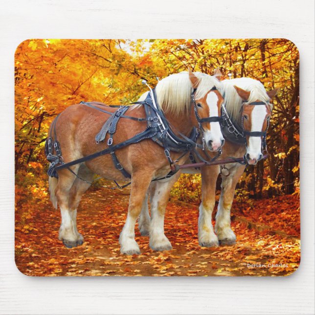 "The Hayride Team" Mouse Pad (Front)
