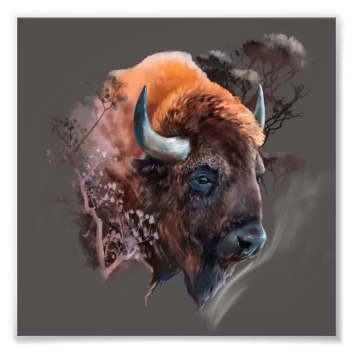 The head of a European bison Photo Print