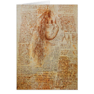 The Heart and the Bronchial Arteries Parchment Cards